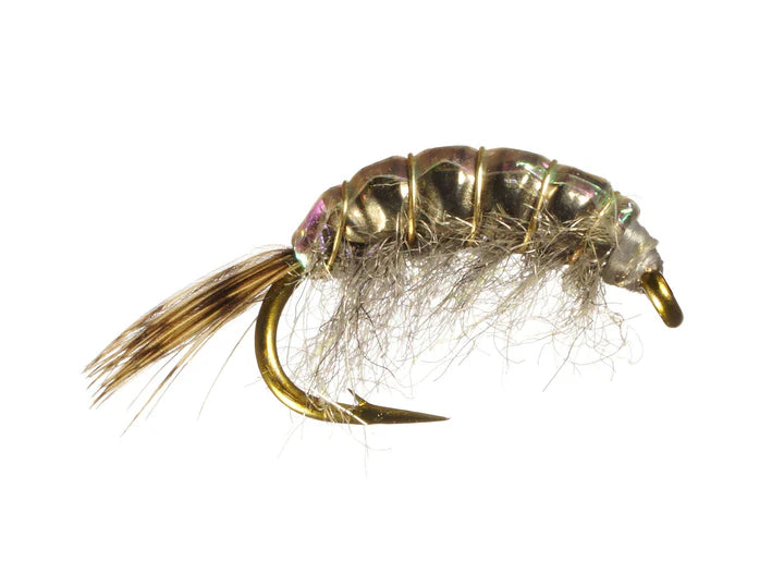 Scud de tungsteno