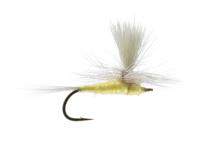 Parachute PMD