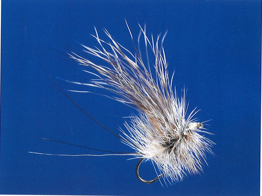 Clouser Drake Zoom Tying Class November 2, 2024   10:00 am - 11:30 am