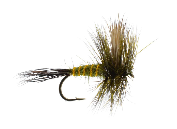 Drake Wulff (marrón o verde)