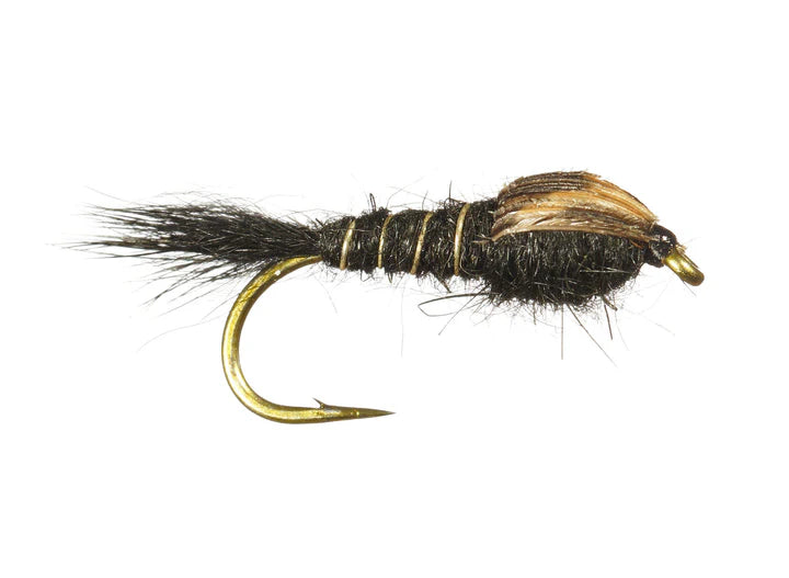 Ninfa oreja de liebre