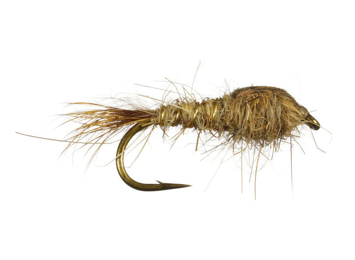 Ninfa oreja de liebre