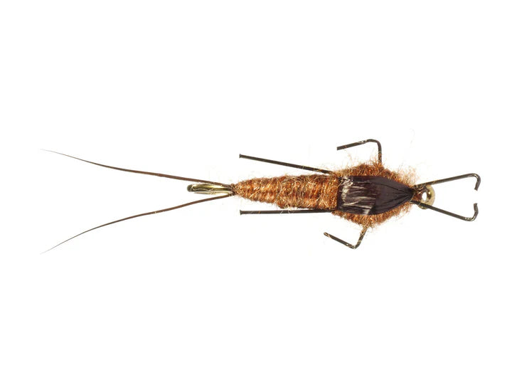 Rainy's Real Meal Nymph