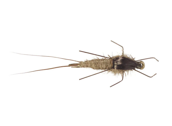 Rainy's Real Meal Nymph