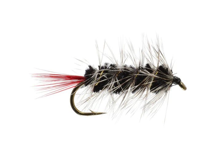 Wooly Worm 3 pack