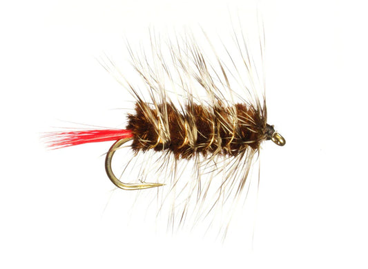 Wooly Worm 3 pack