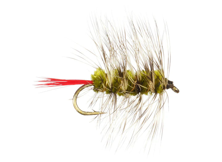 Wooly Worm 3 pack