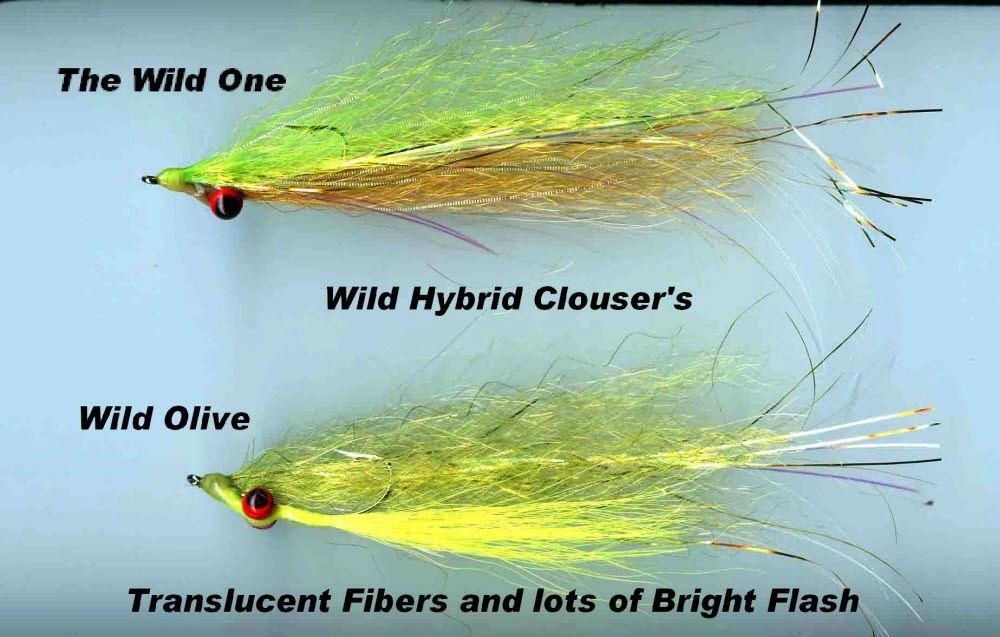 Wild Hybrid Clouser Family