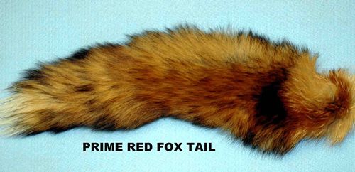 Red Fox Tail