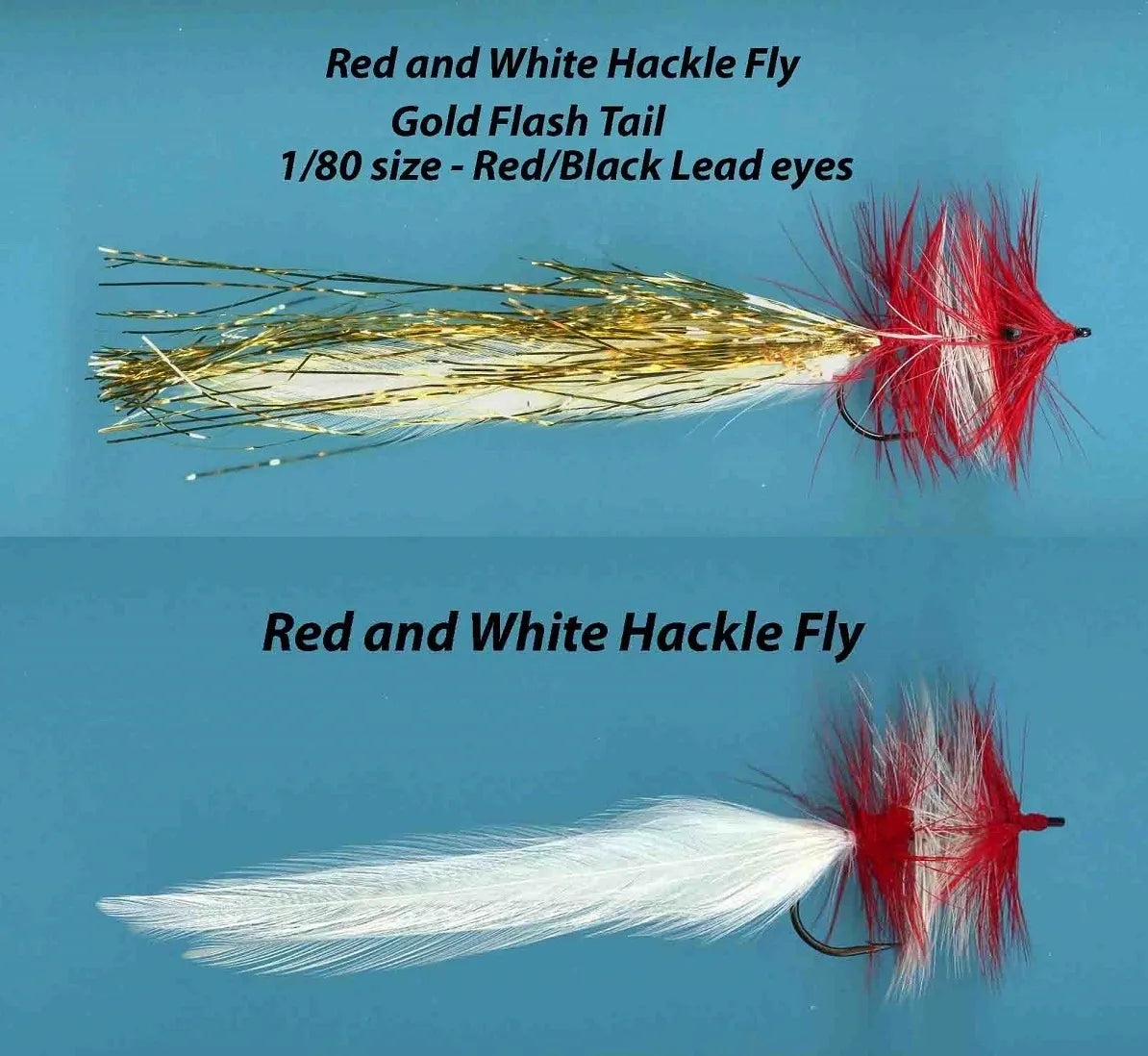 Red and White Hackle Fly