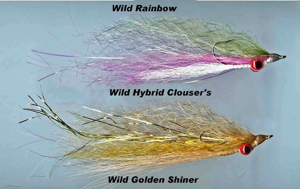 Wild Hybrid Clouser Family