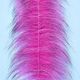 Cepillo EP FOXY UV
