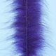 Cepillo EP FOXY UV