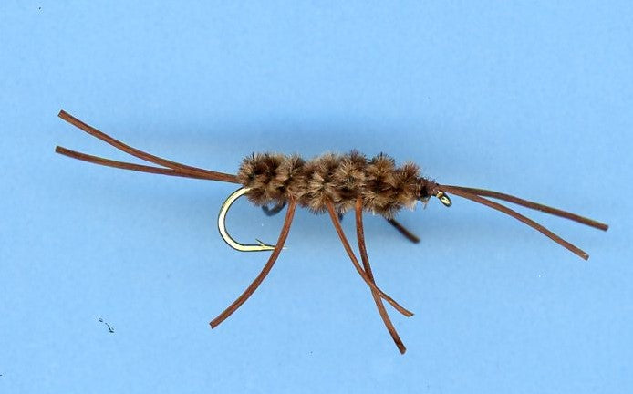 Girdle Bug (Pat's Rubber Legs)