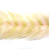 Designer Polar Fiber Brush Combo Pack