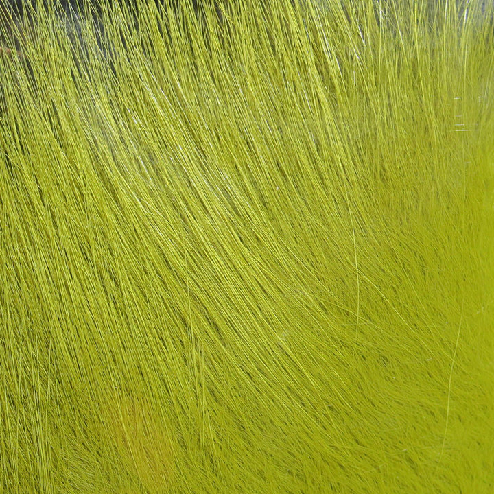 Cabello de zorro ártico