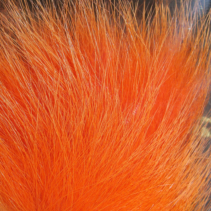 Cabello de zorro ártico