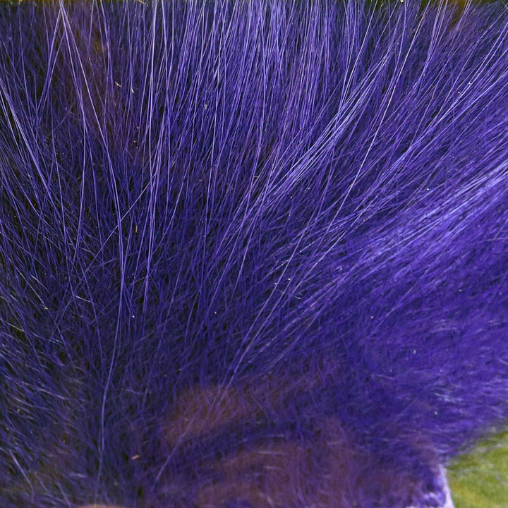 Cabello de zorro ártico