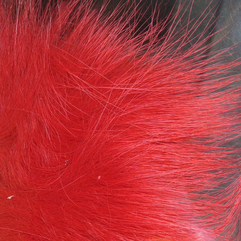 Cabello de zorro ártico