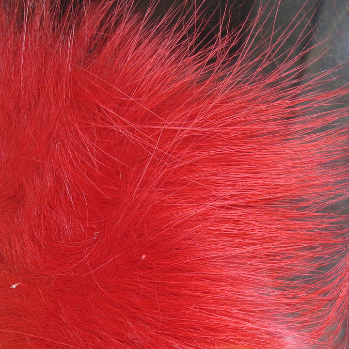 Cabello de zorro ártico