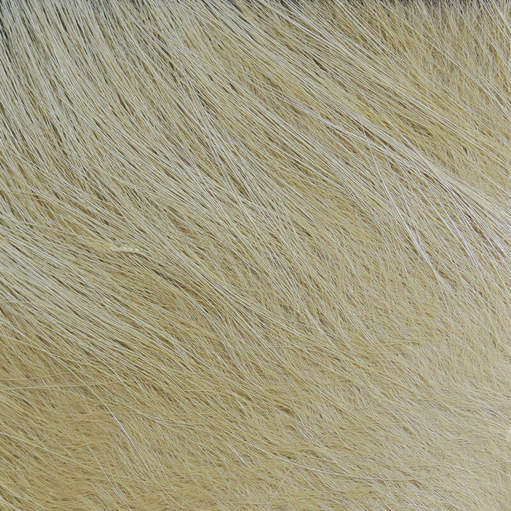 Cabello de zorro ártico