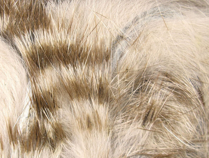 Tiras de conejo magnum barradas