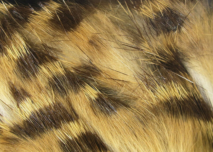 Tiras de conejo magnum barradas