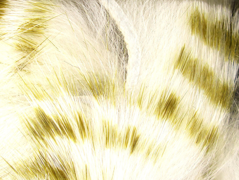 Tiras de conejo magnum barradas