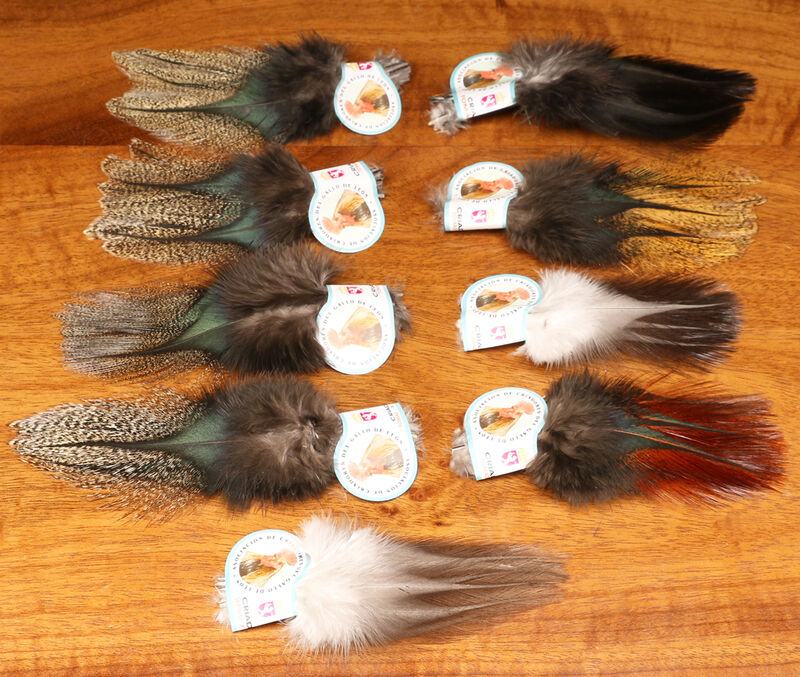 Coq De Leon Feathers