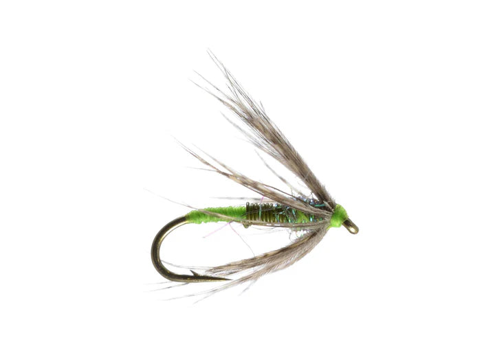 Dallys Tailwater Soft Hackle