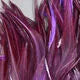 Woolly Bugger Saddle Hackle 6-7 inches  1 oz. pack