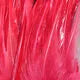 Woolly Bugger Saddle Hackle 6-7 inches  1 oz. pack
