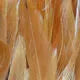 Woolly Bugger Saddle Hackle 6-7 inches  1 oz. pack
