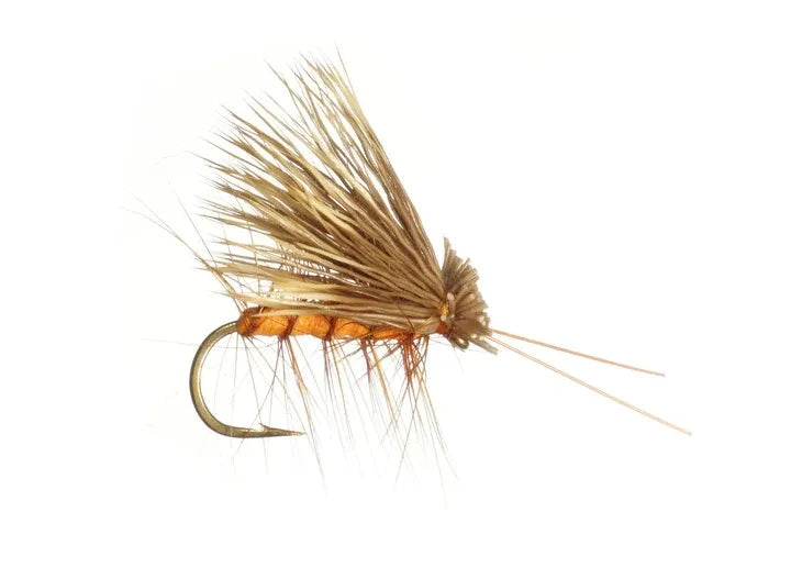 Rainy's October Caddis - Orange