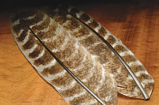 Turkey Quills (Ozark Oak Mottled)