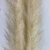 Cepillo de imitación de plumas