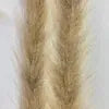 Cepillo de imitación de plumas